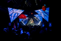 15.12.2018-PsychedelikLanguage-LeZoo-Projet390710-LisaFrisco-11