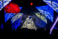 15.12.2018-PsychedelikLanguage-LeZoo-Projet390710-LisaFrisco-12