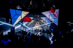 15.12.2018-PsychedelikLanguage-LeZoo-Projet390710-LisaFrisco-18