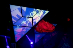15.12.2018-PsychedelikLanguage-LeZoo-Projet390710-LisaFrisco-4