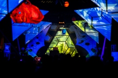 15.12.2018-PsychedelikLanguage-LeZoo-Projet390710-LisaFrisco-7