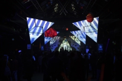 15.12.2018-PsychedelikLanguage-LeZoo-Projet390710-LisaFrisco-8