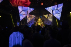 15.12.2018-PsychedelikLanguage-LeZoo-Projet390710-LisaFrisco-9