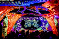 GROOVA-OCTOBRE2019-04