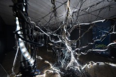 arbreacable_pavillon-colors_2